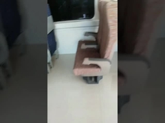 12 mesi di treno rotabile Seat MOQ 100PCS della garanzia